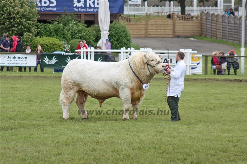 WCC Nagy-Britannia 2012 - Helge